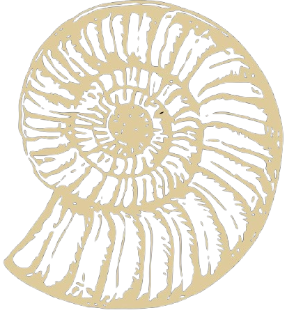 Logo Prainha Jurerê